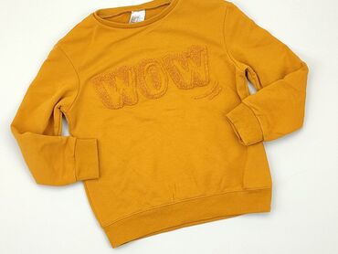 sweterek z kaszmirem: Bluza, Decathlon, 3-4 lat, 98-104 cm, stan - Bardzo dobry