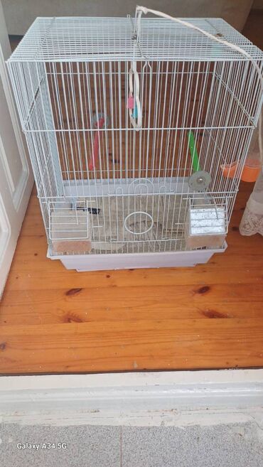 Qəfəslər: Papuqaylar üçün qəfəs satıram. Qəfəs böyükdür, genişdir. Bazaradan 30 -da lalafo.az — 6 Qəfəslər: Papuqaylar üçün qəfəs satıram. Qəfəs böyükdür, genişdir. Bazaradan 30 — 6