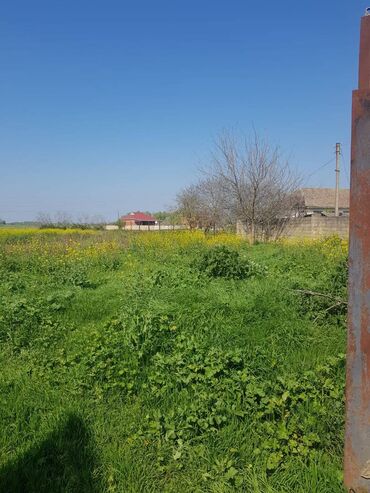 Həyət evləri və villaların satışı: 5 otaqlı, 251 kv. m, Kredit yoxdur, Təmirsiz — 12