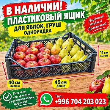 ящик для яблоко: Пластиковый ящик для фруктов (однорядка) - Назначение: хранение и — 1