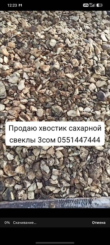 Хвостики сахарной свёклы - Фракция: мелкие кусочки/обрезки