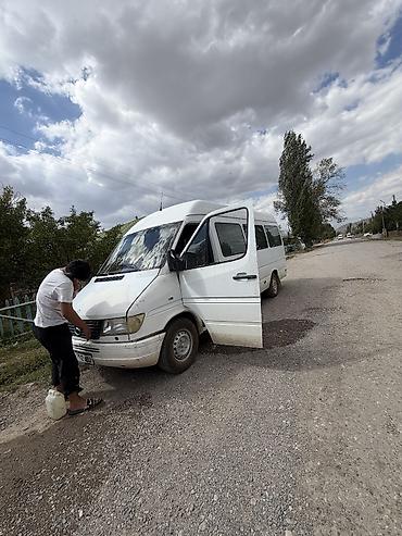 Продажа авто: Mercedes-Benz Спринтер: 1999 г., 2.9 л, Механика, Бус — 3