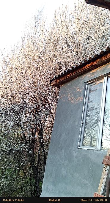 Günlük kirayə mənzillər: 3 otaqlı — 11