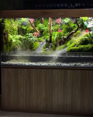 Akvarium aksessuar və ləvazimatları: Su canlıları sqxlamaq üçün uyğumdur. Sistem 24 və 12 volt enerji ilə — 6