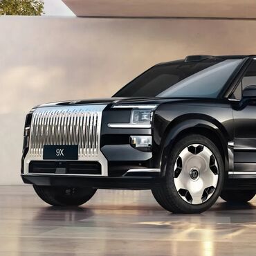 чехол для некси: ZX : 2024 г., Жол тандабас