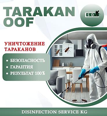 160: Дезинфекция, дезинсекция, | Тараканы, | Офисы, Дома, Кафе, магазины — 1