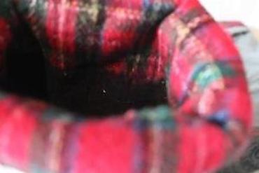 Čizme: ŽENSKE ČIZME, KOŽA, TEKSTIL, BROJ 37 EU, AKCIJA! | Kvalitetne nove — 15