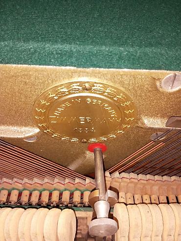 instrumenti: Zimmermann upright pianino - Marka/model: Zimmermann upright - — 6