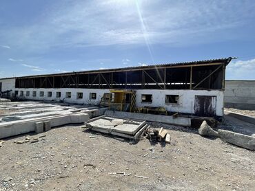 Автокраны: Автокран — 9