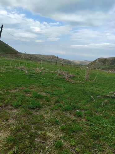 купить землю сельхозназначения: Для сельского хозяйства