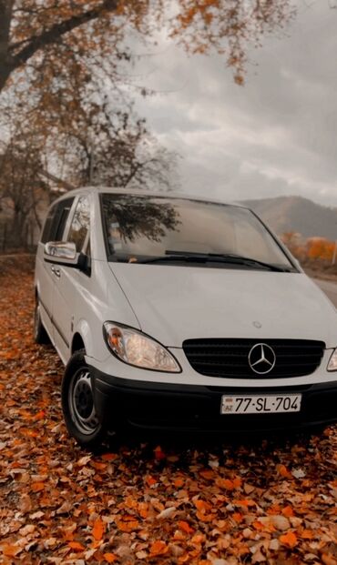 vito aksesuar: Mercedes-Benz Vito: 2.2 л | 2012 г. Минивэн