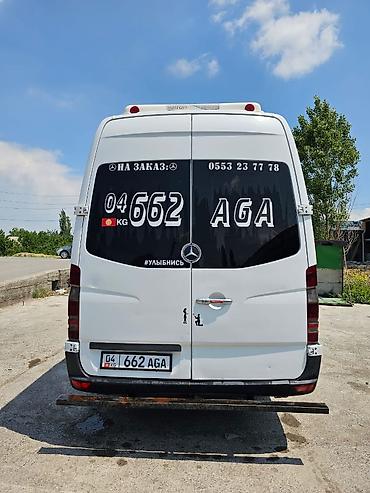 Mercedes-Benz: Mercedes-Benz Спринтер: 2007 г., Бус — 3
