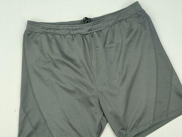 Шорти для чоловіків, L, H&M, стан - Дуже гарний