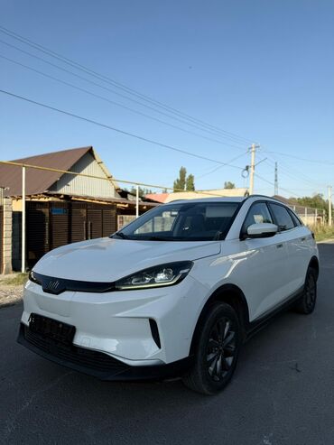 Weltmeister: Weltmeister EX5, 2021 г., 82000 км, Передний, В наличии — 2