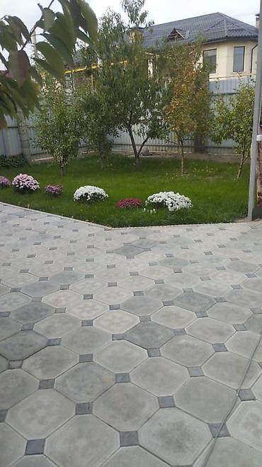 Газон: Газон и Автополив жасайбыз баасы келишим турдо болот! — 17