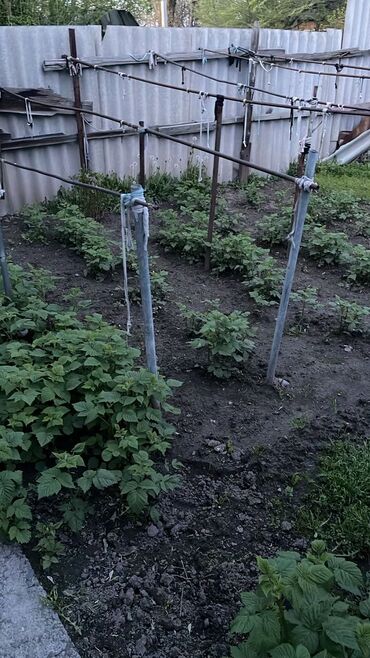 Продажа домов: Барачный, 65 м², 3 комнаты, Риэлтор, Старый ремонт at lalafo.kg — 11 Продажа домов: Барачный, 65 м², 3 комнаты, Риэлтор, Старый ремонт — 11