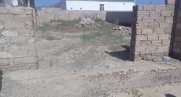 albalida torpaq satilir: 3 sot, Tikinti, Kupça (Çıxarış) — 4
