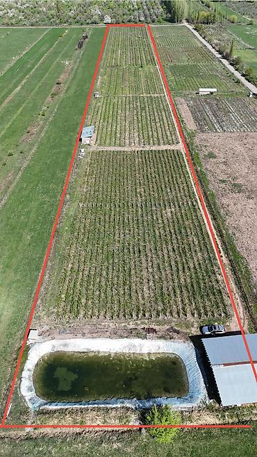 Продажа сельхоз предприятий: Питомник растений, 220 соток, Действующий, Частично с оборудованием, Холодная вода, Электричество — 23