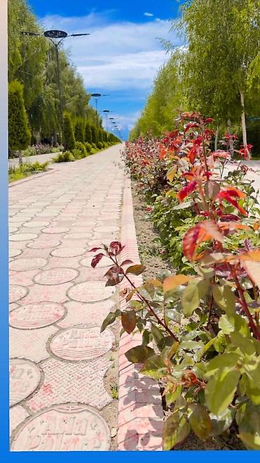 Посуточная аренда домов: “ASIA PALASE” КОТТЕДЖ, ВИП ГОРОДОК 📍САРЫ-ОЙ БАЛДАР АЯНТЧАСЫУНАА — 33
