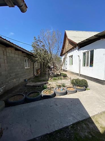 Продажа коттеджей и домов: ТЕЗ АРАДА 6 КОМНАТ УЙ САТЫЛАТ, сарайы,банясы,склад,погриб.Паравой — 13