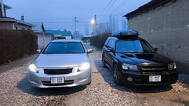 Subaru: Subaru Forester: 2003 г., 2 л, Автомат, Газ, Кроссовер — 6