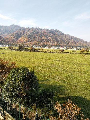 Toxumlar və çöl bitkiləri Azərbaycanda: Qara mese torpagi ve yanmis peyin