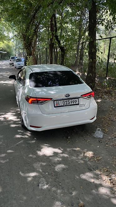 jac aion: Toyota Corolla: 2019 г., Гибрид, Седан — 2