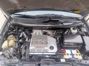 Lexus: Lexus RX: 2001 г., 3 л, Автомат, Бензин, Кроссовер — 3