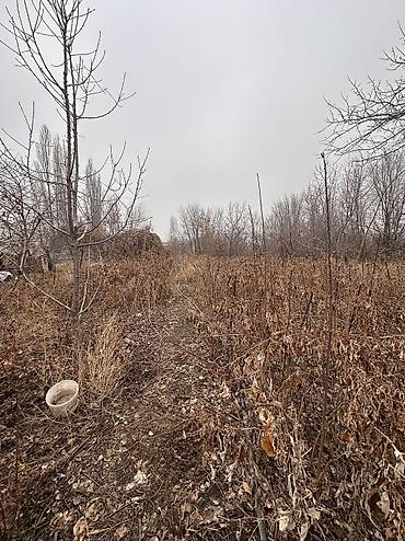 Продажа коттеджей и домов: 📍 В Шопокове от трассы 900 м продается дом на участке 20 соток, 70 — 4