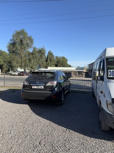 Lexus: Lexus RX: 2009 г., 3.5 л, Автомат, Бензин, Кроссовер — 7