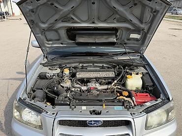 Subaru: Subaru Forester: 2004 г., 2 л, Автомат, Бензин, Универсал — 8