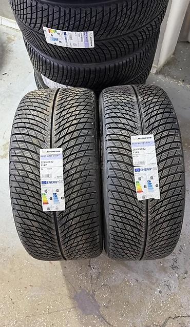 Michelin Pilot alpine 5 Для Mercedes-Benz GLS 600 Перед 285/45/22 Зад