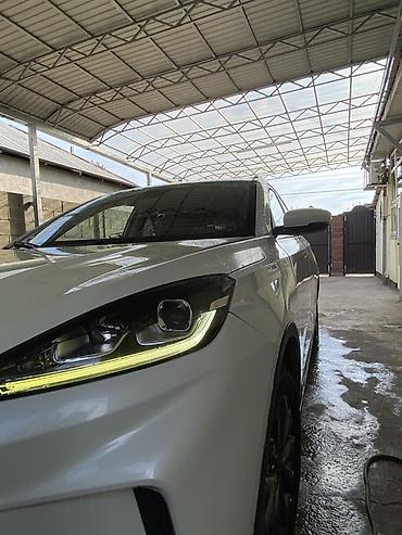 BYD: BYD : 2020 г., Электромобиль, Кроссовер — 6