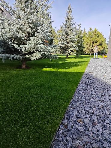 Ремонт под ключ: АВТОПОЛИВ и ОЗЕЛЕНЕНИЕ Ландшафтный дизайн ### Вашего — 3