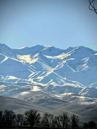 Google: Google Pixel 7 Pro, Б/у, 128 ГБ, цвет - Черный, 2 SIM, eSIM — 8