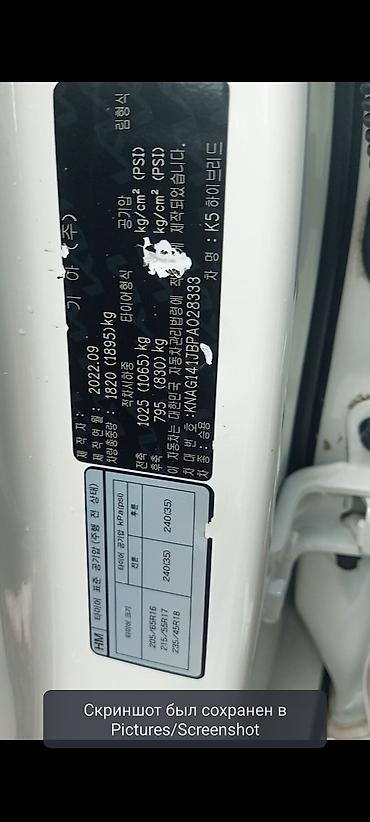 Kia: Kia K5: 2022 г., 2 л, Автомат, Гибрид, Седан — 11