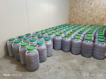 Мёд: Продаю иссик атинский горный мёд только оптом из собственной пасеки