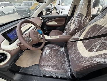 Microcar: Microcar : 2026 г., Электромобиль, Хэтчбэк — 12