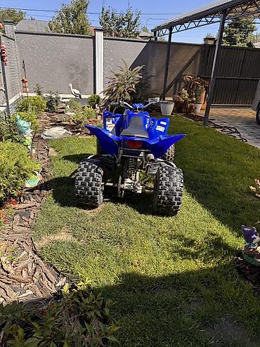 t max: Квадроцикл Yamaha, Бензин, 350 куб. см, Взрослый — 8