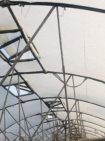 pəncərə barmaqlığı: Məhsul: Metal karkaslı istixana konstruksiyaları (sökülüb-aparmaq — 2