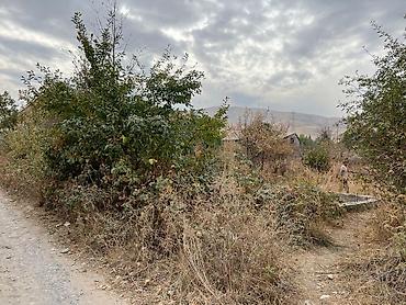 Продажа участков: 5 соток, Для строительства, Красная книга at lalafo.kg — 5 Продажа участков: 5 соток, Для строительства, Красная книга — 5