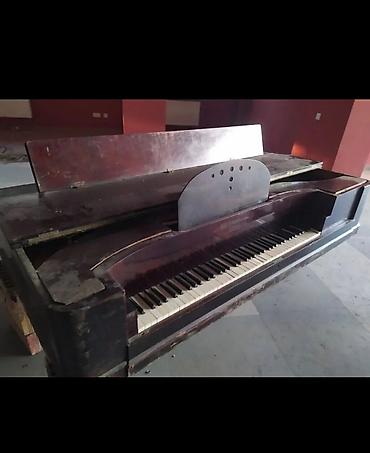 fort salon: Antik kuyruklu piano – Wills. Pethmüller & Sohn, Göttingen - — 7