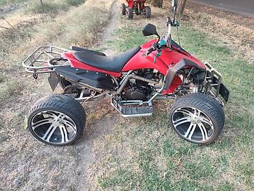 Квадроциклы: Квадроцикл Бензин, 250 куб. см, Взрослый at lalafo.kg — 20 Квадроциклы: Квадроцикл Бензин, 250 куб. см, Взрослый — 20