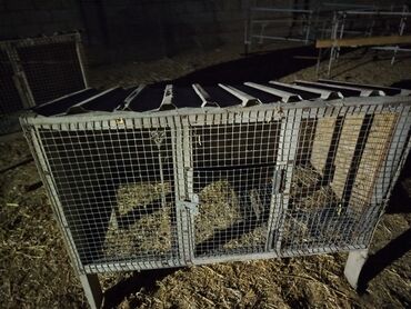 домик для кошка: Деревянные кролятники с советской сеткой по 1000 сом .можно