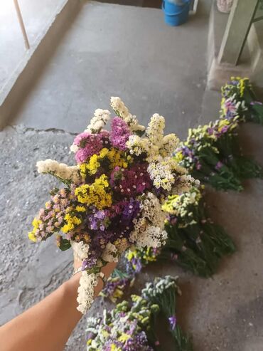 Figure: 🌸 Statica suvo cvece 
Buket za samo 🌸❌ — 3