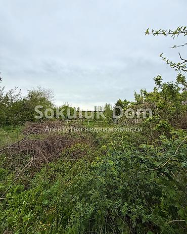 Продажа коттеджей и домов: 🏠Продается дом в г. Шопоков 🟡 Комнаты: 3 🟡 Участок: 9 соток 🟡Отопление — 4