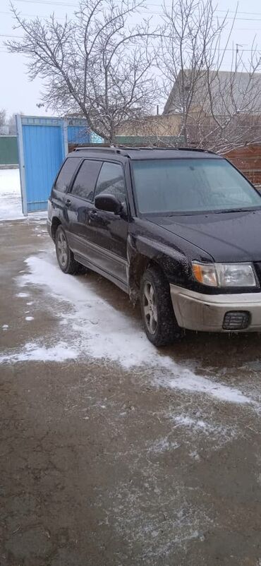 расурочка авто: Subaru Forester: 1999 г., 2.5 л, Механика, Бензин