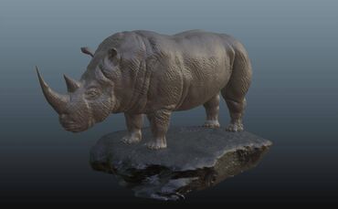 İT, komputerlər, əlaqə: 3D Modelləşdirmə, 3D animasiya, Vizualizasiya və 3D Printer Operatoru — 11