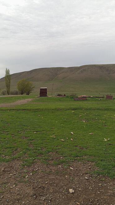 упаковщицы с ежедневной оплатой: Талап кылынат Чабан, Төлөм Ай сайын