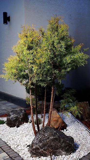 Дизайн, проектирование: Ландшафтный дизайн авто полив водопады пруды водоемы ручьи посев — 39